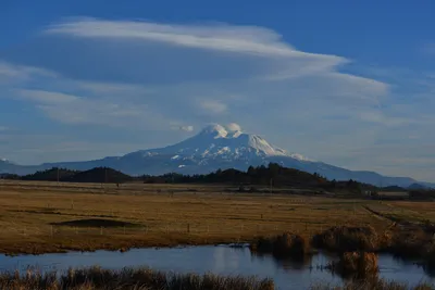 DSC_6010 (Large).JPG